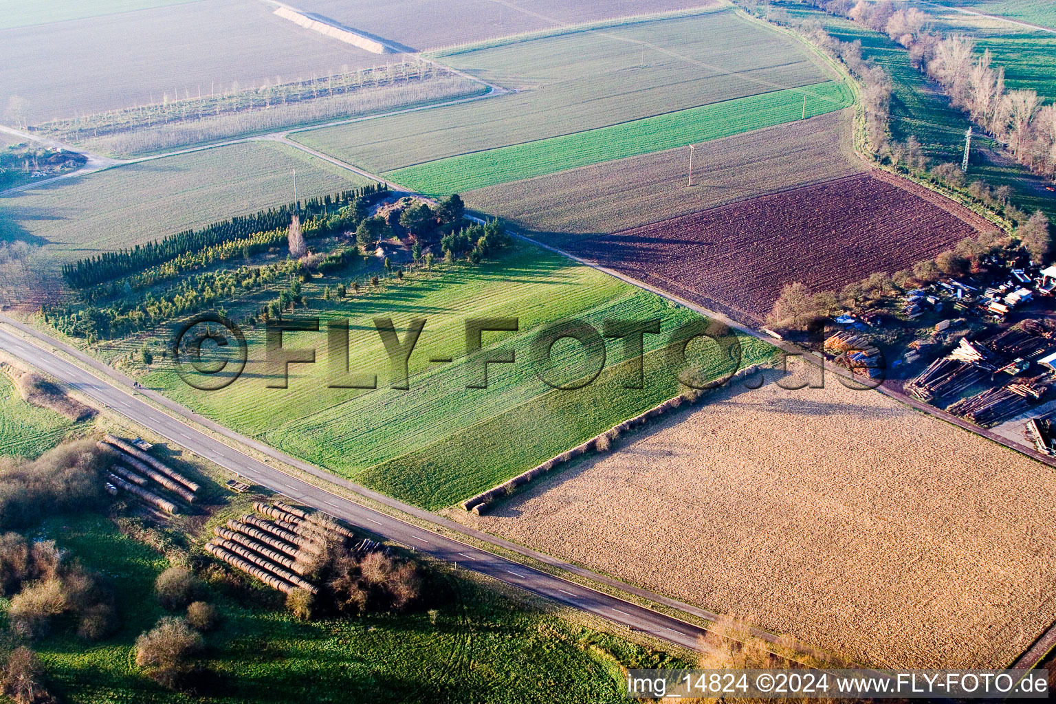 Image drone de Moulin Schaidter à le quartier Schaidt in Wörth am Rhein dans le département Rhénanie-Palatinat, Allemagne