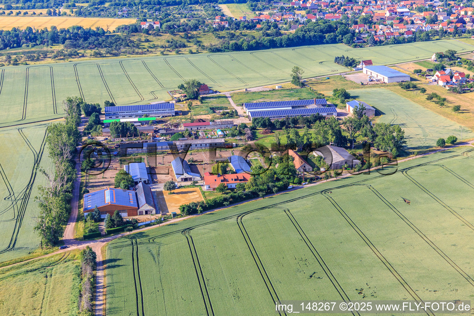 Vue aérienne de Buchenhof Ballenstedt à le quartier Rieder in Ballenstedt dans le département Saxe-Anhalt, Allemagne