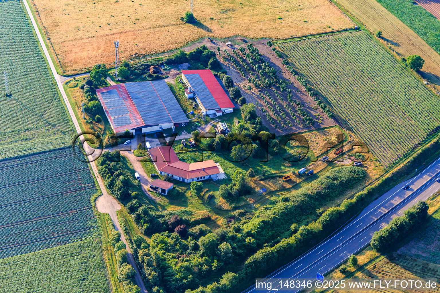 Vue aérienne de Ferme avicole familiale Schönung à Erlenbach bei Kandel dans le département Rhénanie-Palatinat, Allemagne