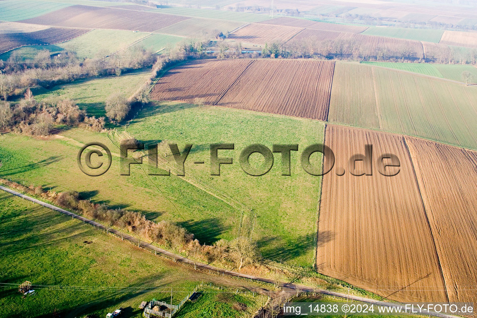 Quartier Schaidt in Wörth am Rhein dans le département Rhénanie-Palatinat, Allemagne vue d'en haut