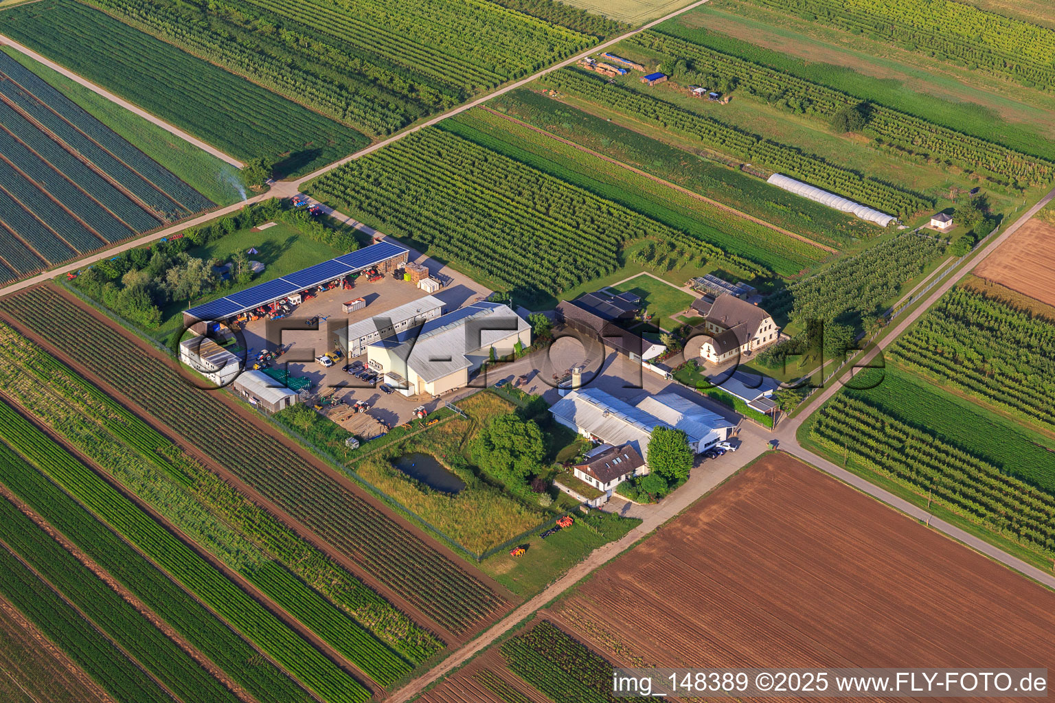 Jardin du fermier à Winden dans le département Rhénanie-Palatinat, Allemagne du point de vue du drone