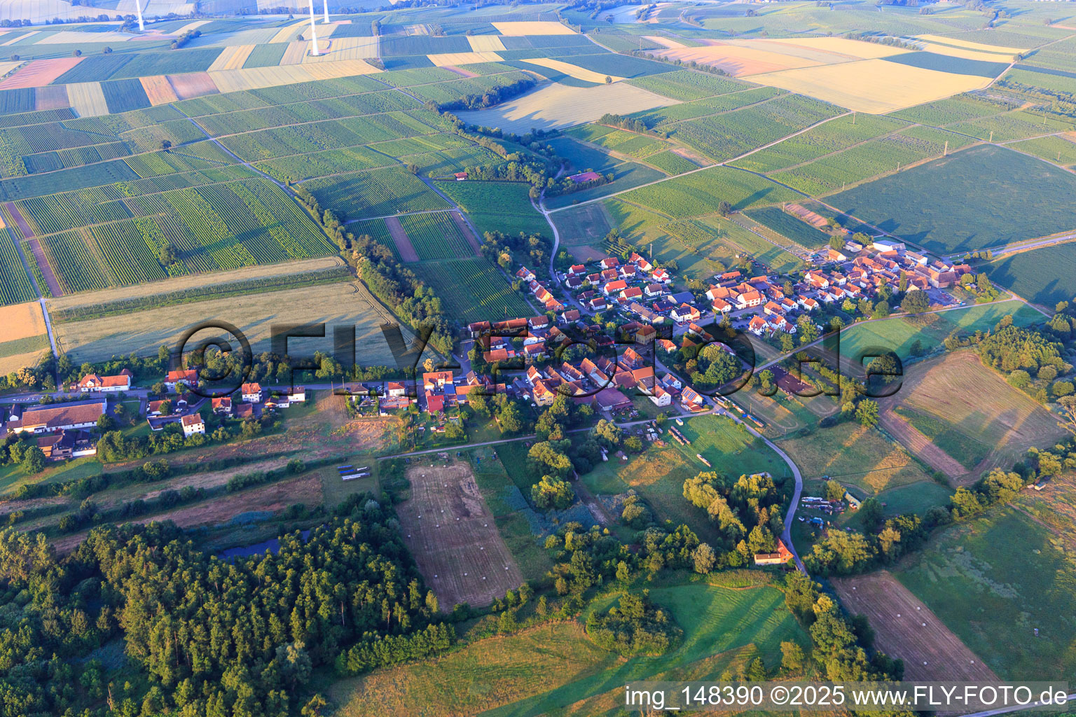 Photographie aérienne de Vue du village depuis le nord à Hergersweiler dans le département Rhénanie-Palatinat, Allemagne