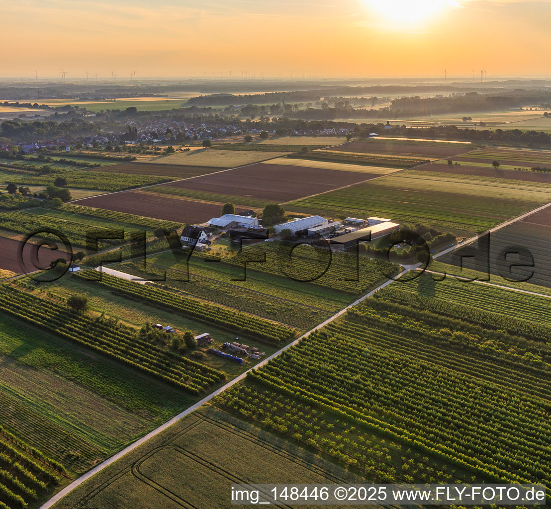 Jardin du fermier à Winden dans le département Rhénanie-Palatinat, Allemagne d'un drone