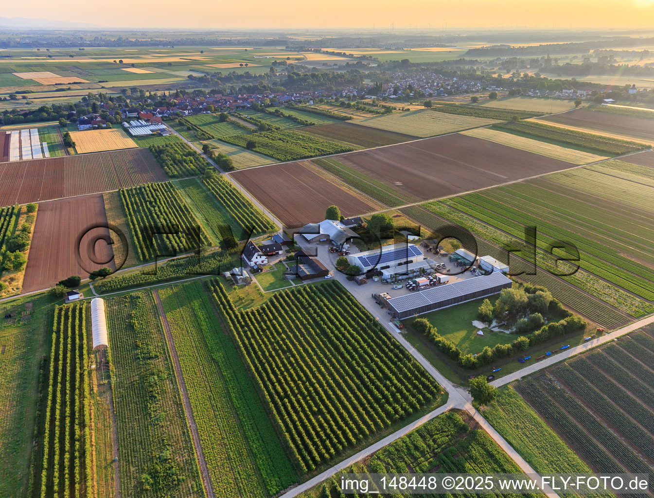 Jardin du fermier à Winden dans le département Rhénanie-Palatinat, Allemagne vu d'un drone