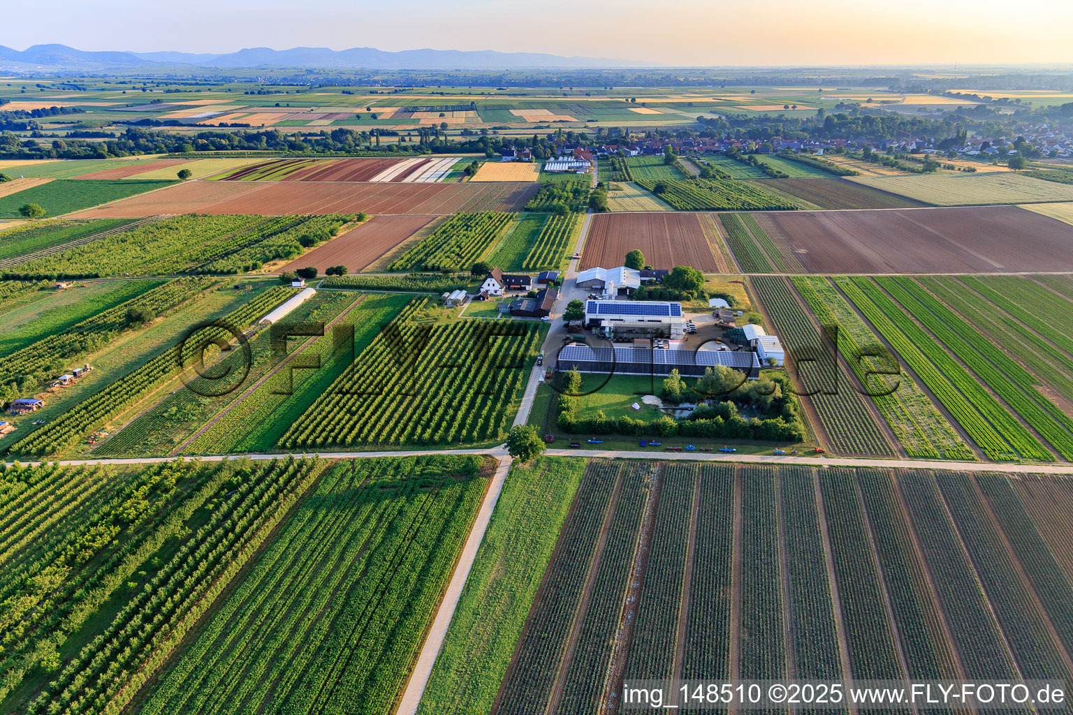 Jardin du fermier à Winden dans le département Rhénanie-Palatinat, Allemagne vue d'en haut