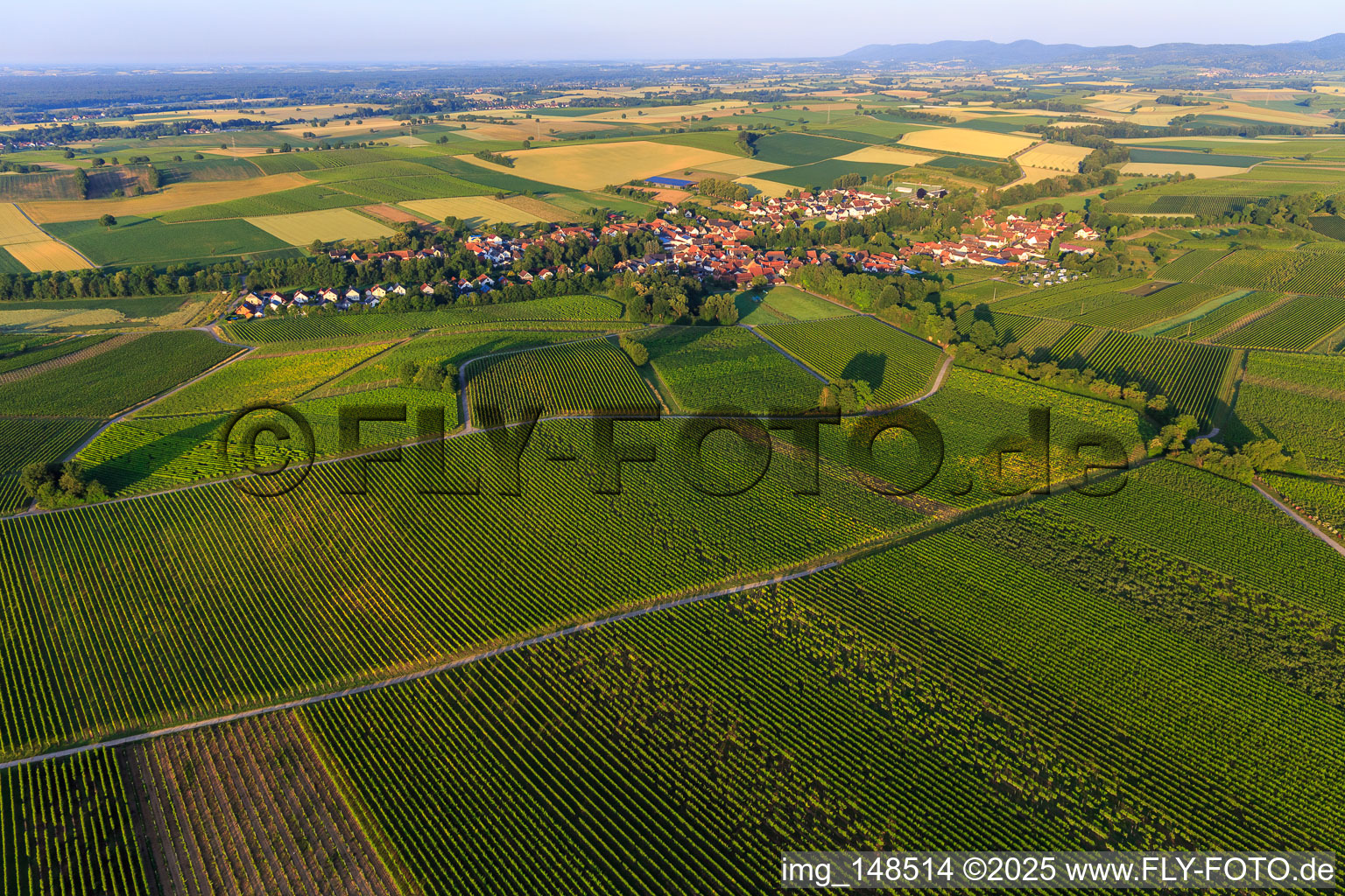Vue aérienne de Vue du village le matin depuis le nord-est à Dierbach dans le département Rhénanie-Palatinat, Allemagne