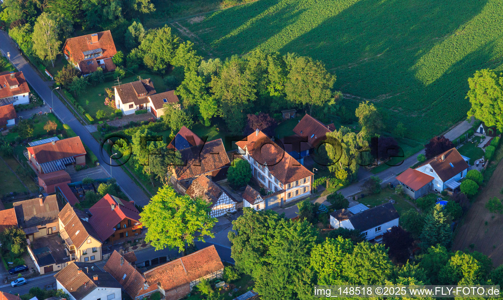 Vue aérienne de Villa sur la rue principale à Dierbach dans le département Rhénanie-Palatinat, Allemagne