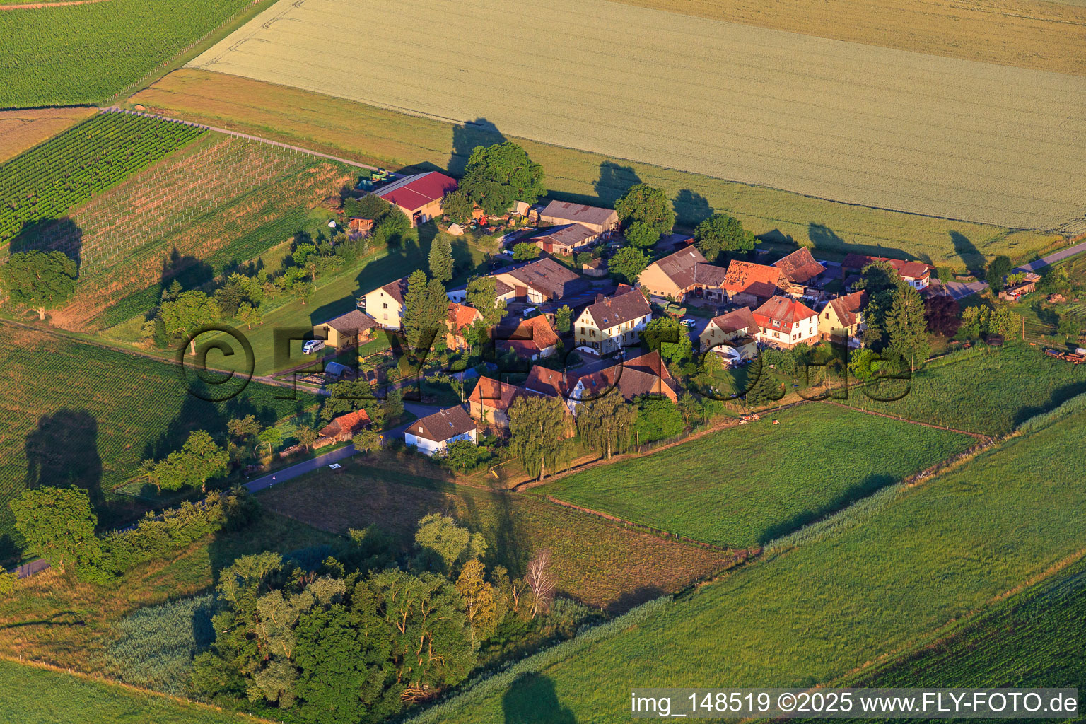 Vue aérienne de Kaplaneihof avec vin et vin mousseux Däuwel à le quartier Deutschhof in Kapellen-Drusweiler dans le département Rhénanie-Palatinat, Allemagne
