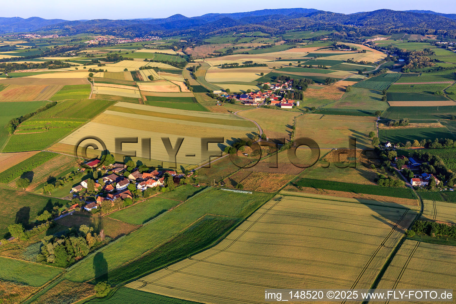 Vue aérienne de Congrégations mennonites de l'Est à le quartier Deutschhof in Kapellen-Drusweiler dans le département Rhénanie-Palatinat, Allemagne