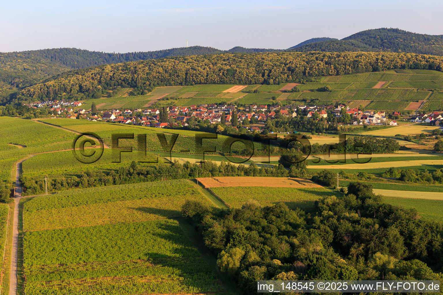 Vue aérienne de Ville viticole de l'est à le quartier Pleisweiler in Pleisweiler-Oberhofen dans le département Rhénanie-Palatinat, Allemagne