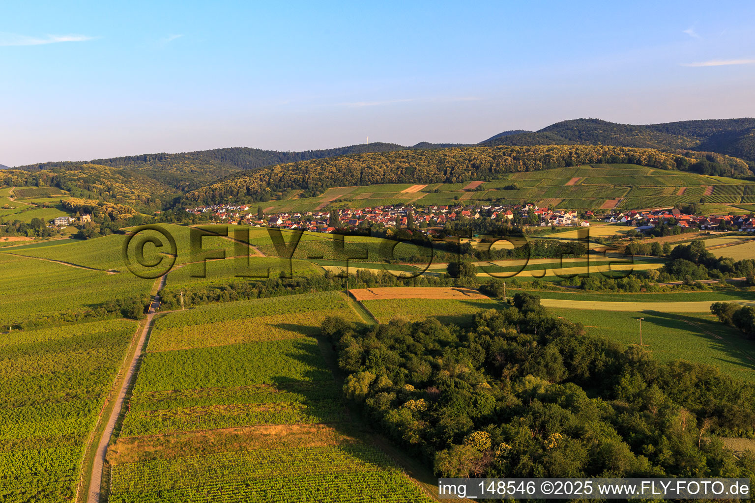 Vue aérienne de Ville viticole de l'est à le quartier Pleisweiler in Pleisweiler-Oberhofen dans le département Rhénanie-Palatinat, Allemagne