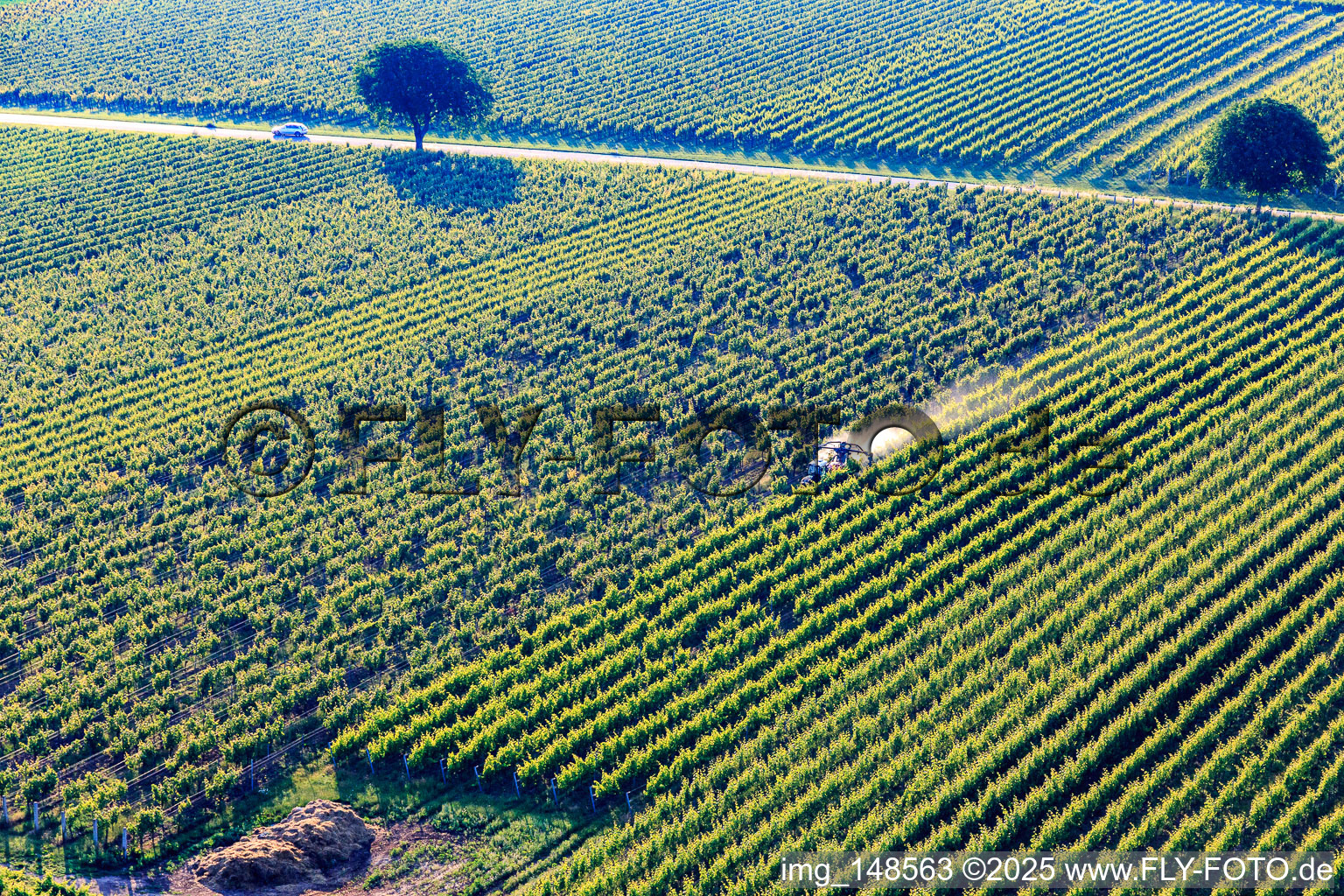 Vue aérienne de Brouillard de pulvérisation de pesticides dans le vignoble à le quartier Ingenheim in Billigheim-Ingenheim dans le département Rhénanie-Palatinat, Allemagne