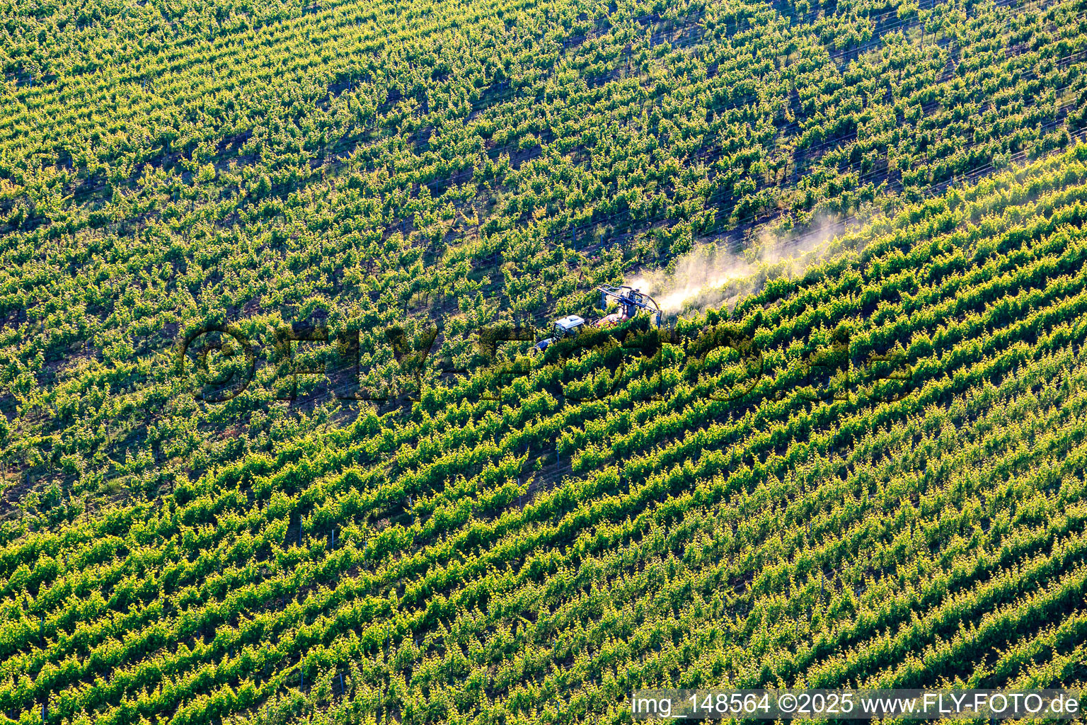 Vue aérienne de Brouillard de pulvérisation de pesticides dans le vignoble à le quartier Ingenheim in Billigheim-Ingenheim dans le département Rhénanie-Palatinat, Allemagne