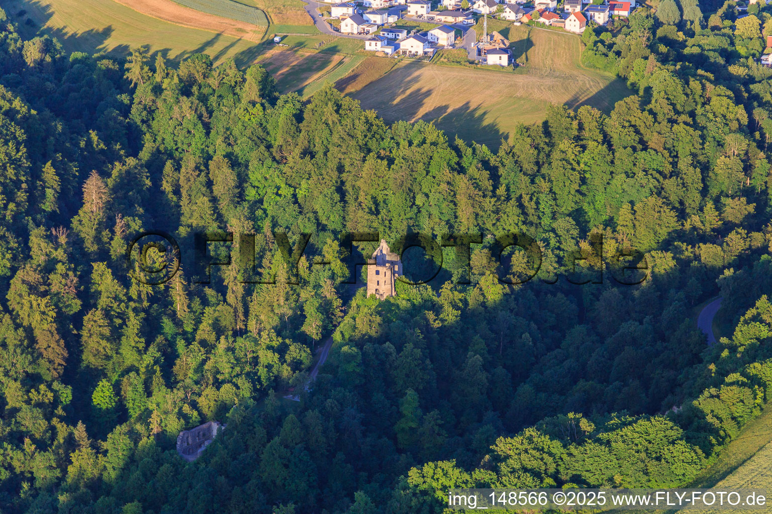 Photographie aérienne de Ruines du château Herrenzimmern à le quartier Herrenzimmern in Bösingen dans le département Bade-Wurtemberg, Allemagne