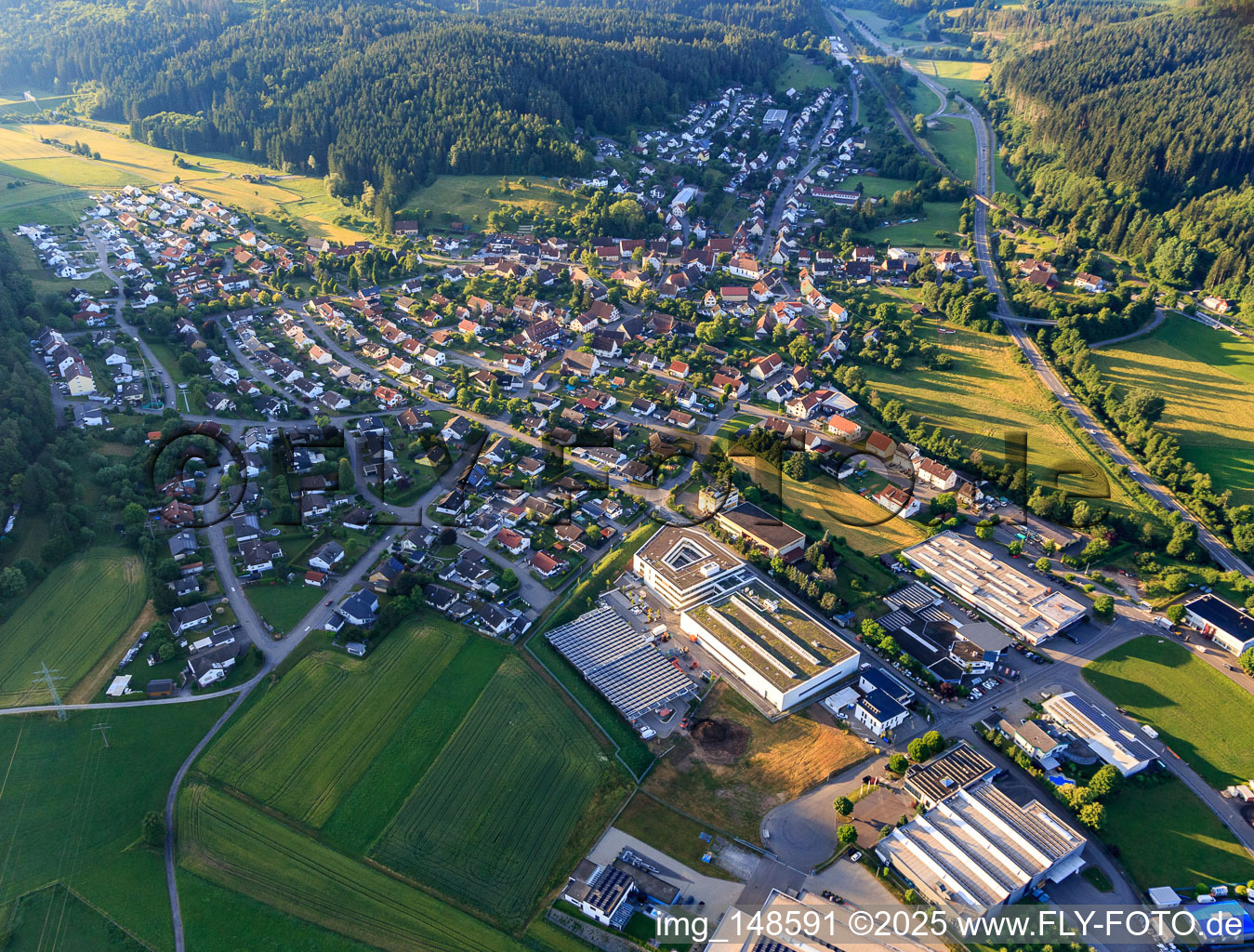 Vue aérienne de Vue du sud-est avec ht Logistik GmbH à le quartier Lauffen in Deißlingen dans le département Bade-Wurtemberg, Allemagne