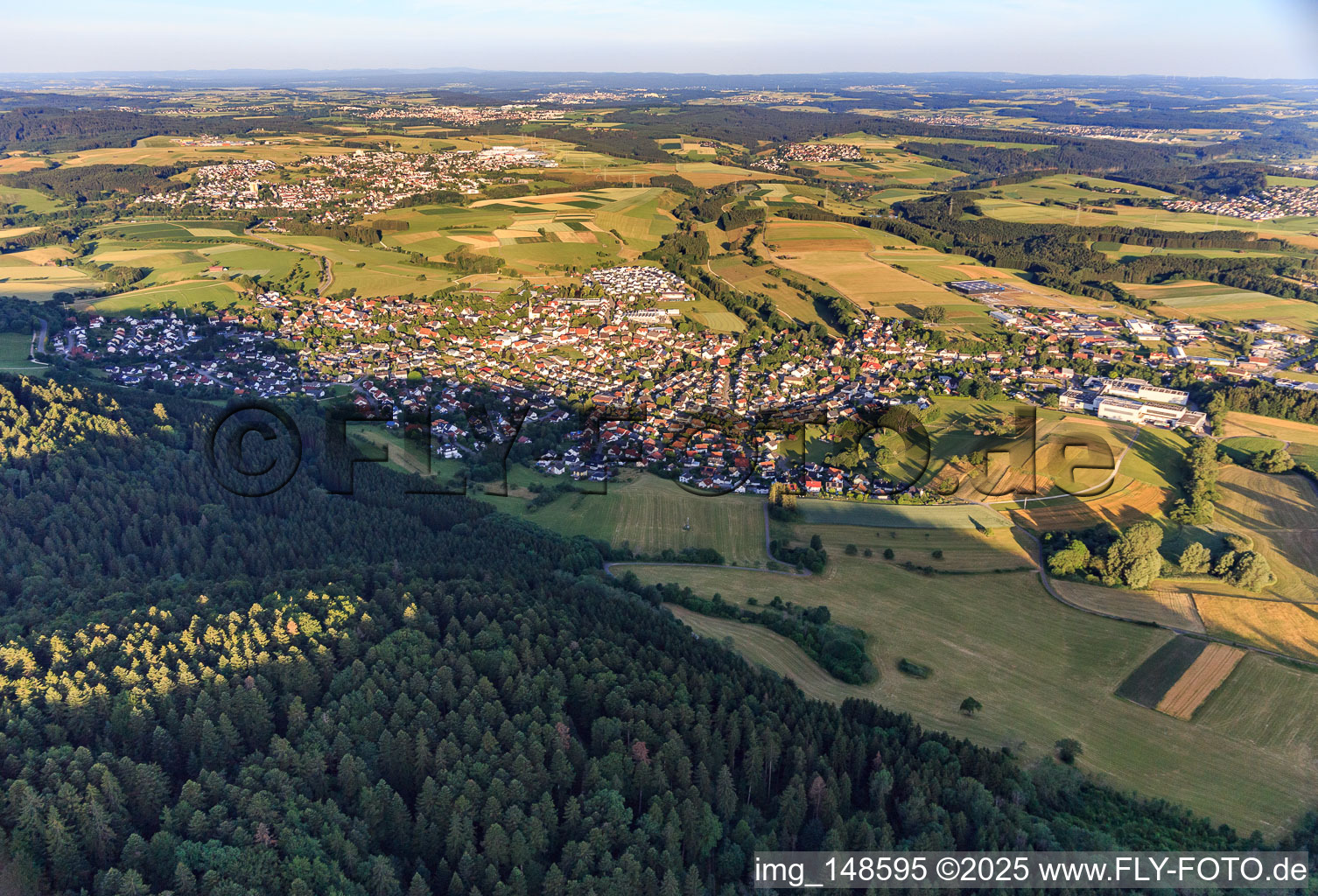 Vue aérienne de Vue de la ville depuis l'est à Denkingen dans le département Bade-Wurtemberg, Allemagne