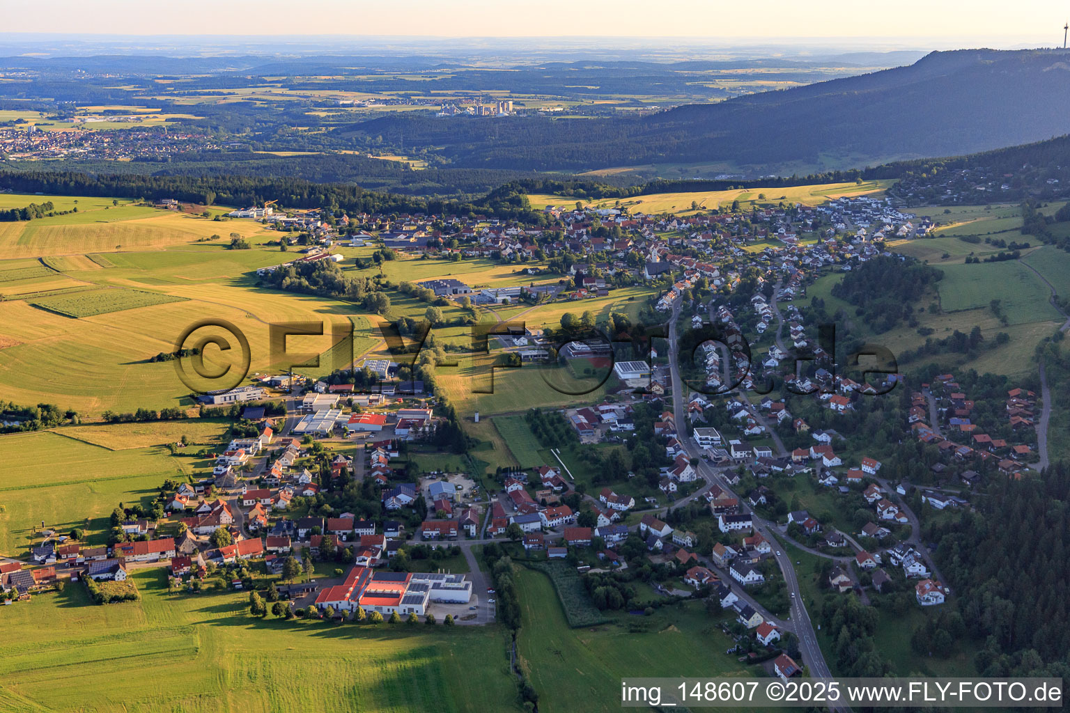 Vue aérienne de Vue de la ville depuis le sud à le quartier Delkhofen in Deilingen dans le département Bade-Wurtemberg, Allemagne