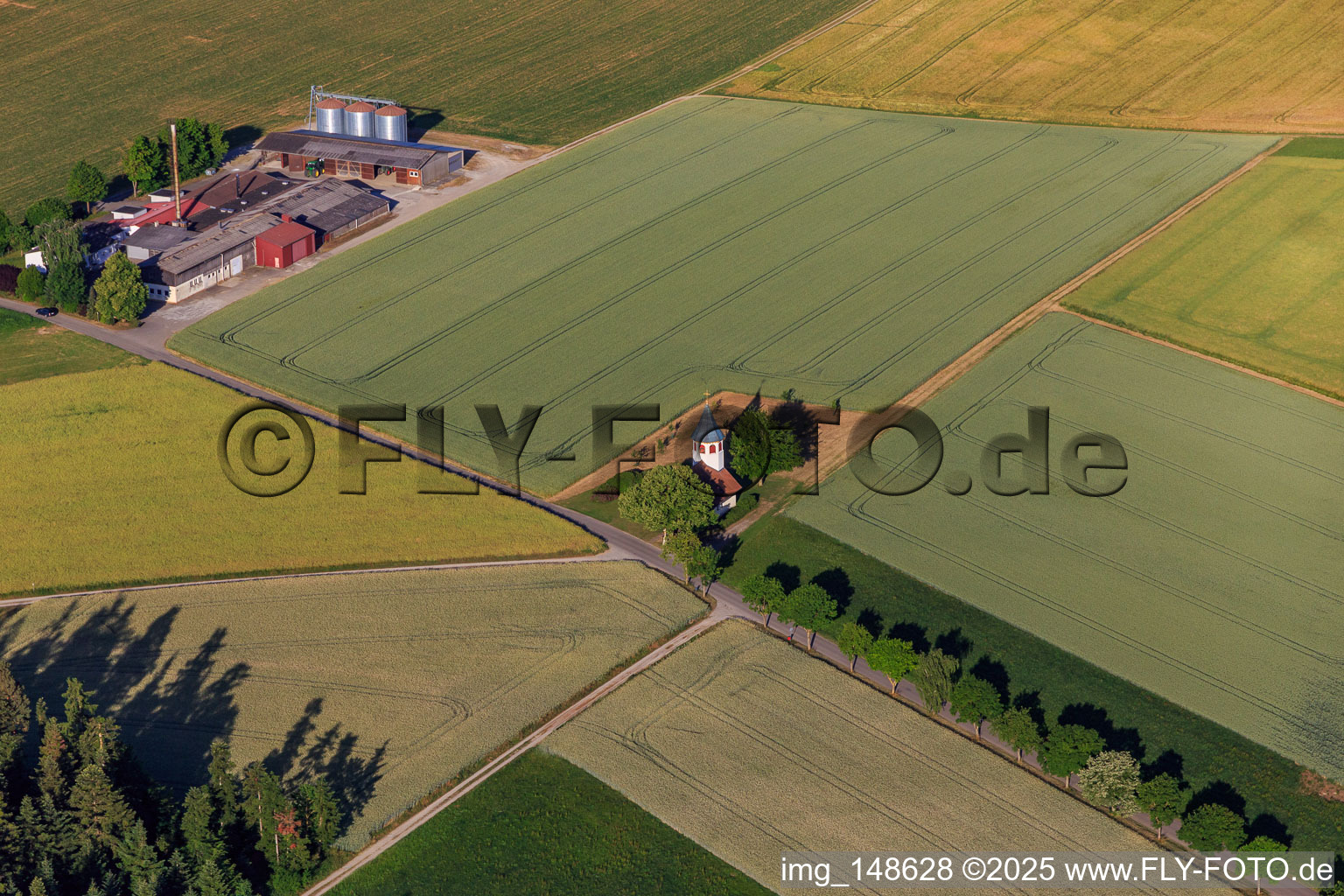 Vue aérienne de Chapelle Sainte-Marie à Bösingen dans le département Bade-Wurtemberg, Allemagne