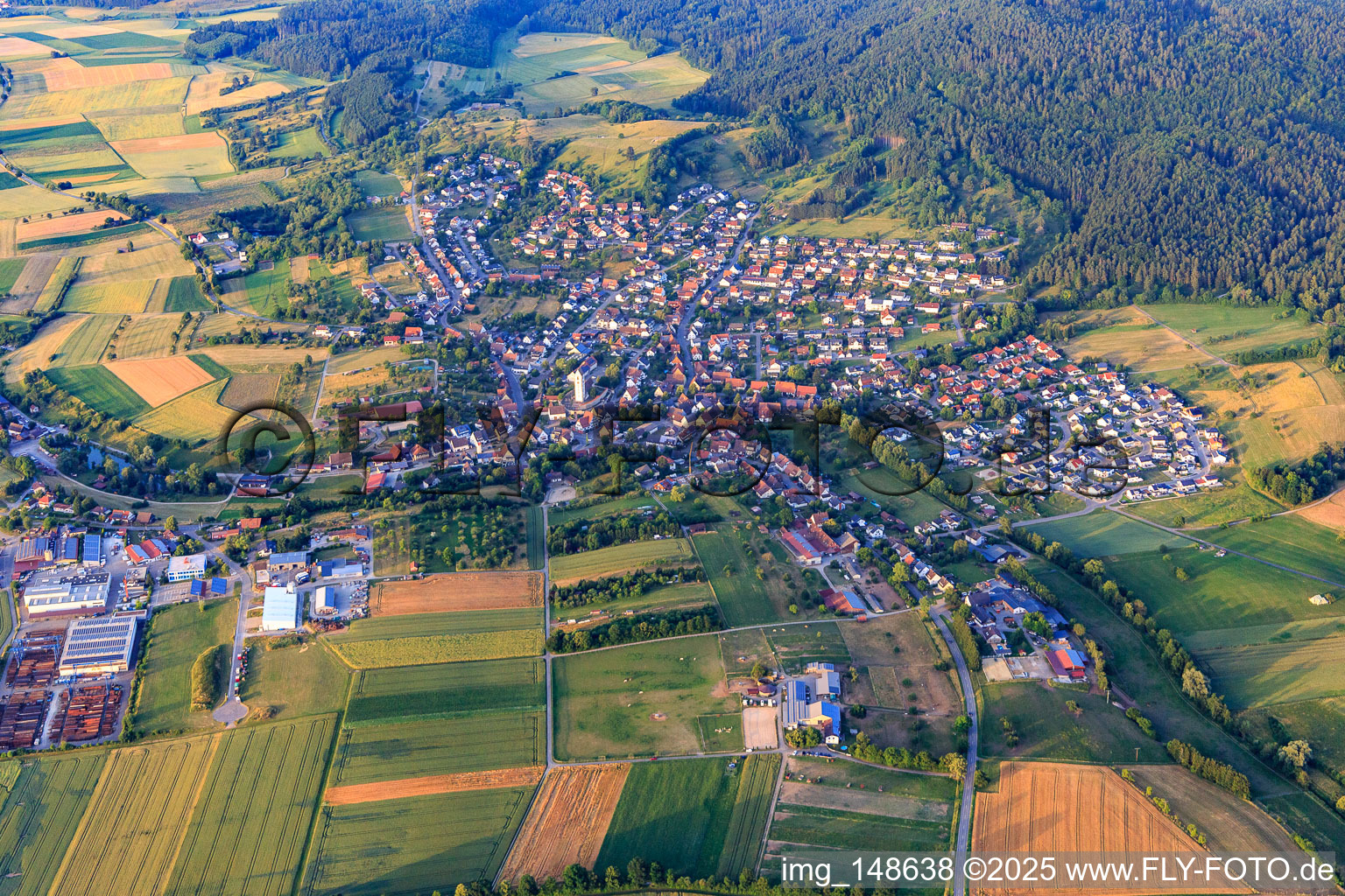 Vue aérienne de Vue du village depuis le sud-est à le quartier Bergfelden in Sulz am Neckar dans le département Bade-Wurtemberg, Allemagne
