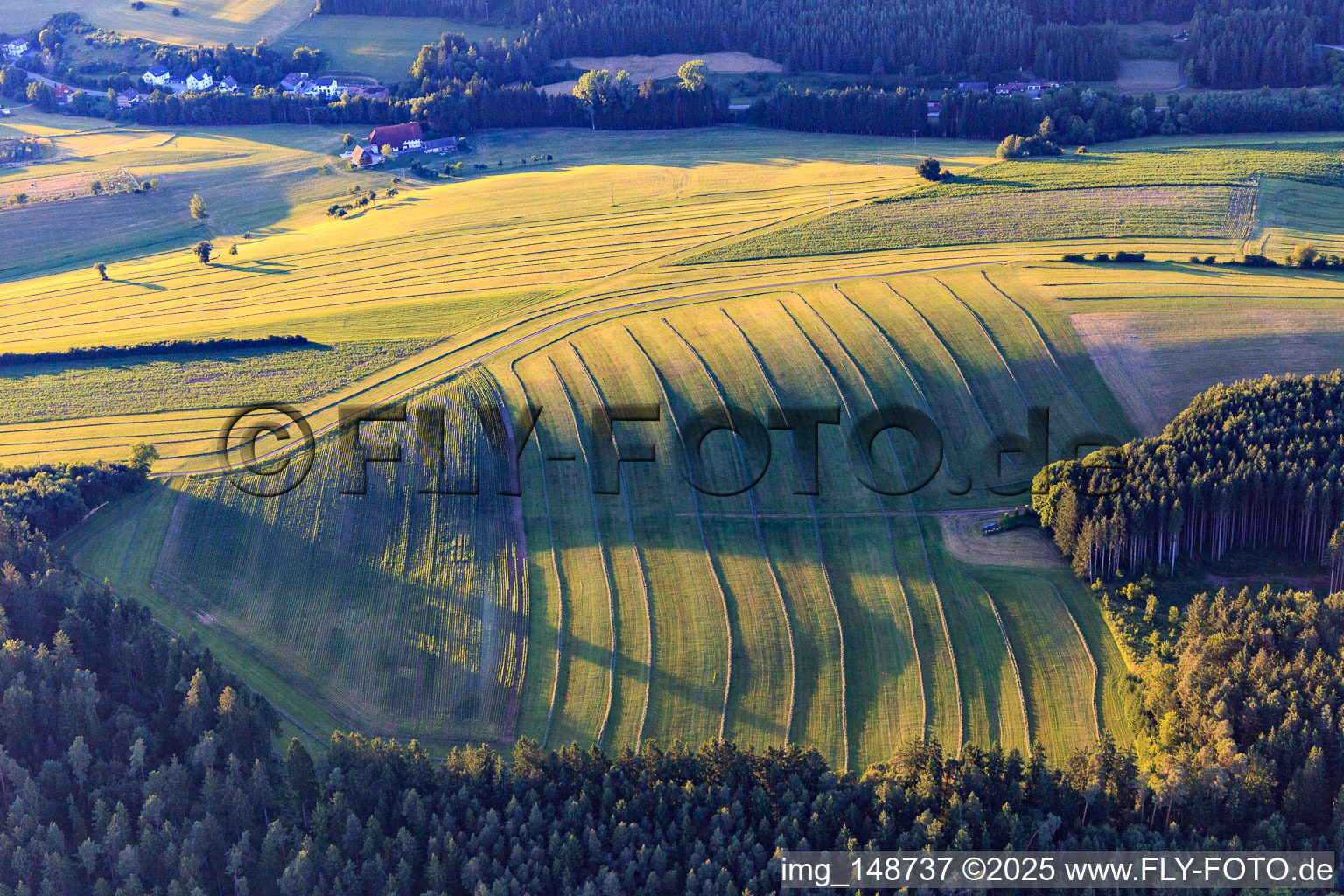 Vue aérienne de Prairies fauchées dans la Forêt-Noire le soir à Niedereschach dans le département Bade-Wurtemberg, Allemagne