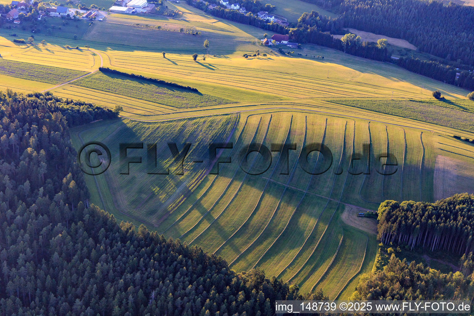 Vue aérienne de Prairies fauchées dans la Forêt-Noire le soir à Niedereschach dans le département Bade-Wurtemberg, Allemagne