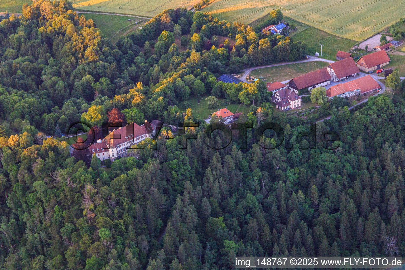 Photographie aérienne de Château de Hohenstein et Franz Comte de Bissingen à Dietingen dans le département Bade-Wurtemberg, Allemagne