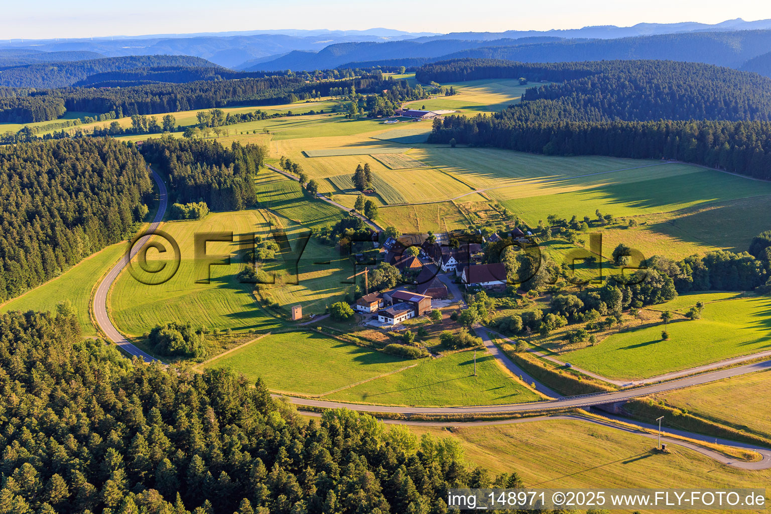 Vue aérienne de Ferme équestre et de vacances Vogelsberg à le quartier Trollenberg in Loßburg dans le département Bade-Wurtemberg, Allemagne