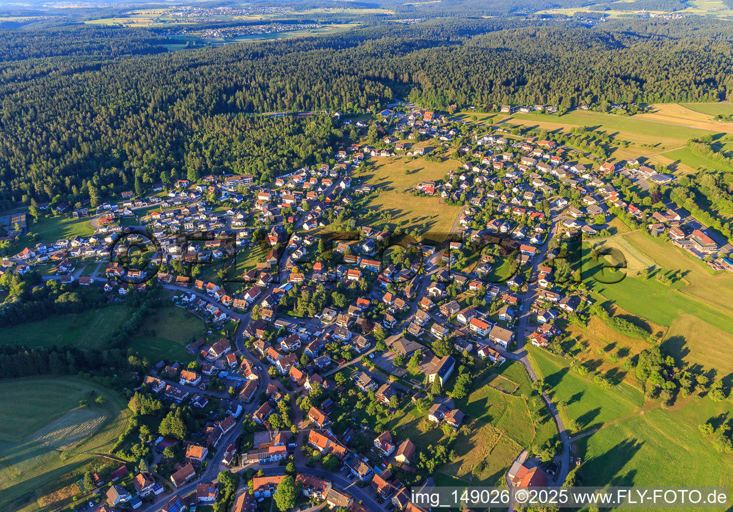 Vue aérienne de Vue d'ensemble du village depuis l'ouest à le quartier Hallwangen in Dornstetten dans le département Bade-Wurtemberg, Allemagne