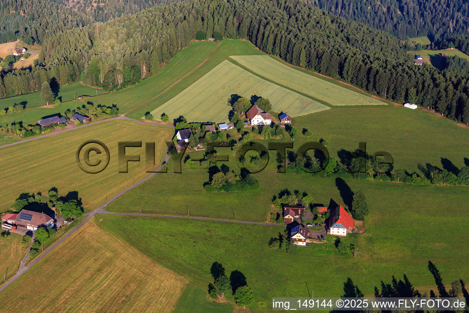Vue aérienne de Fermes individuelles dans le district de Riesen à le quartier Rubstock in Aichhalden dans le département Bade-Wurtemberg, Allemagne