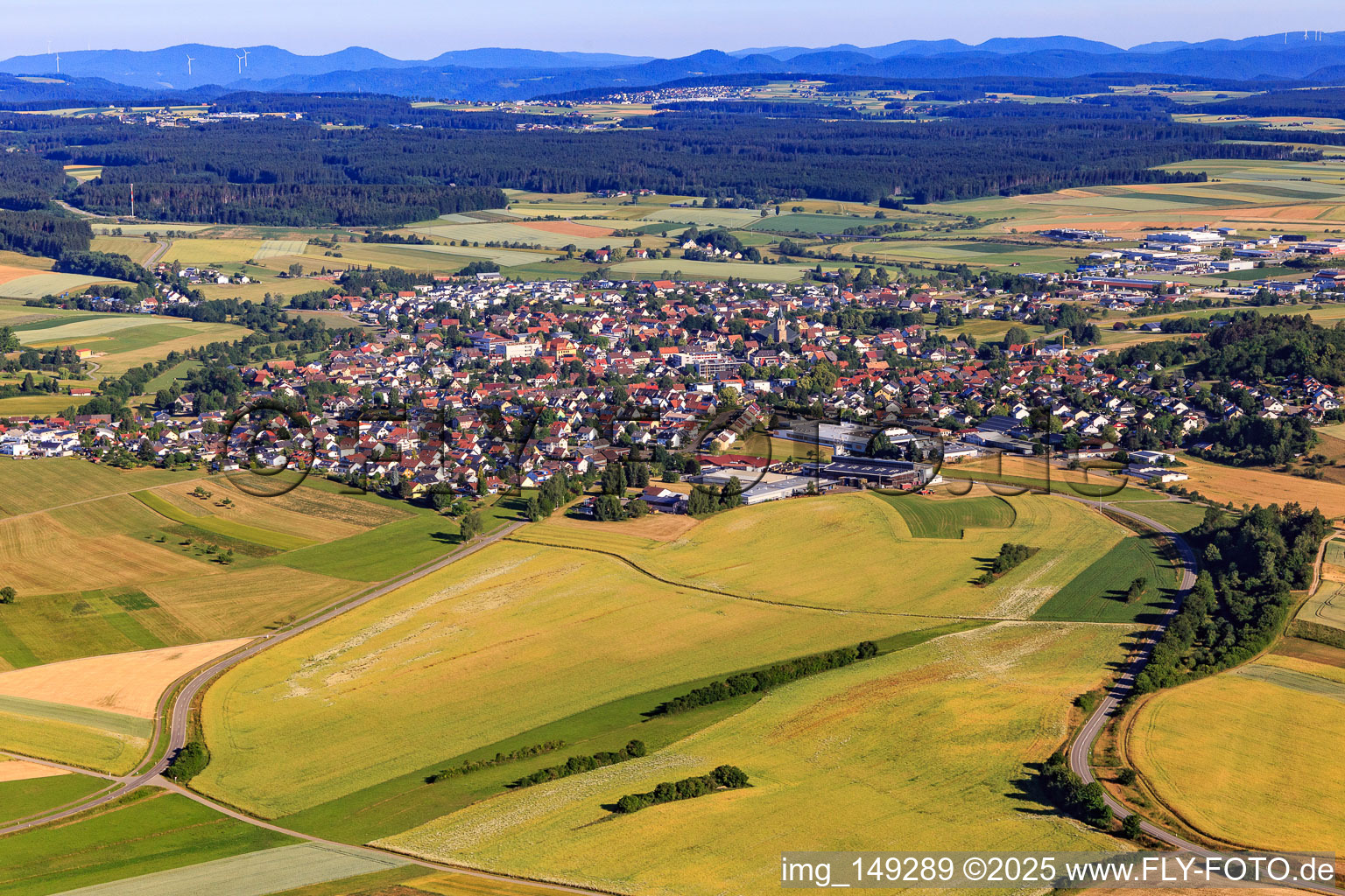 Vue aérienne de Vue du sud-est à Dunningen dans le département Bade-Wurtemberg, Allemagne