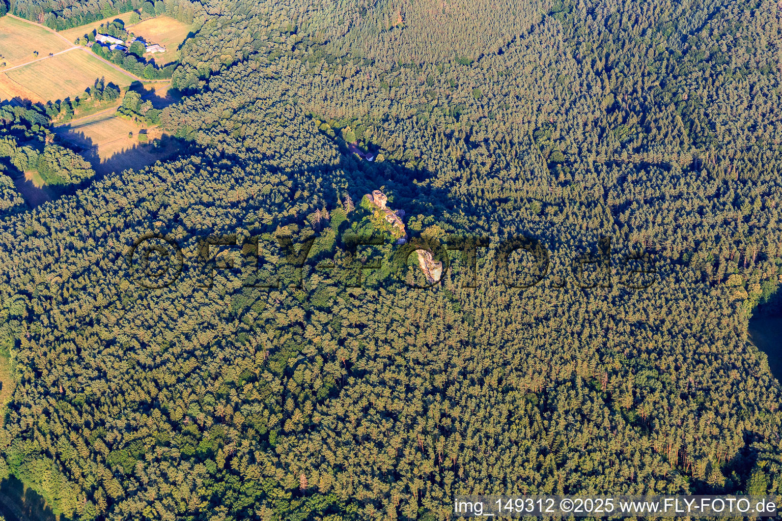 Ruines du château de Drachenfels à Busenberg dans le département Rhénanie-Palatinat, Allemagne vue du ciel