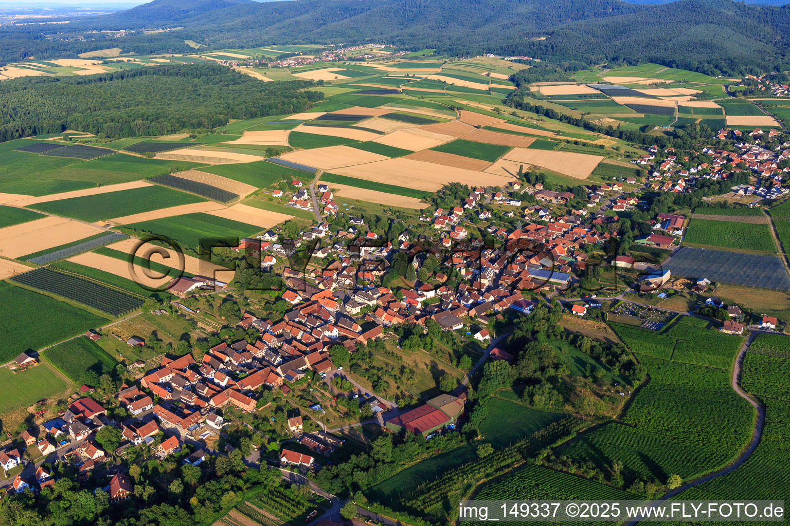 Vue aérienne de Vue de la ville depuis l'est à Steinseltz dans le département Bas Rhin, France