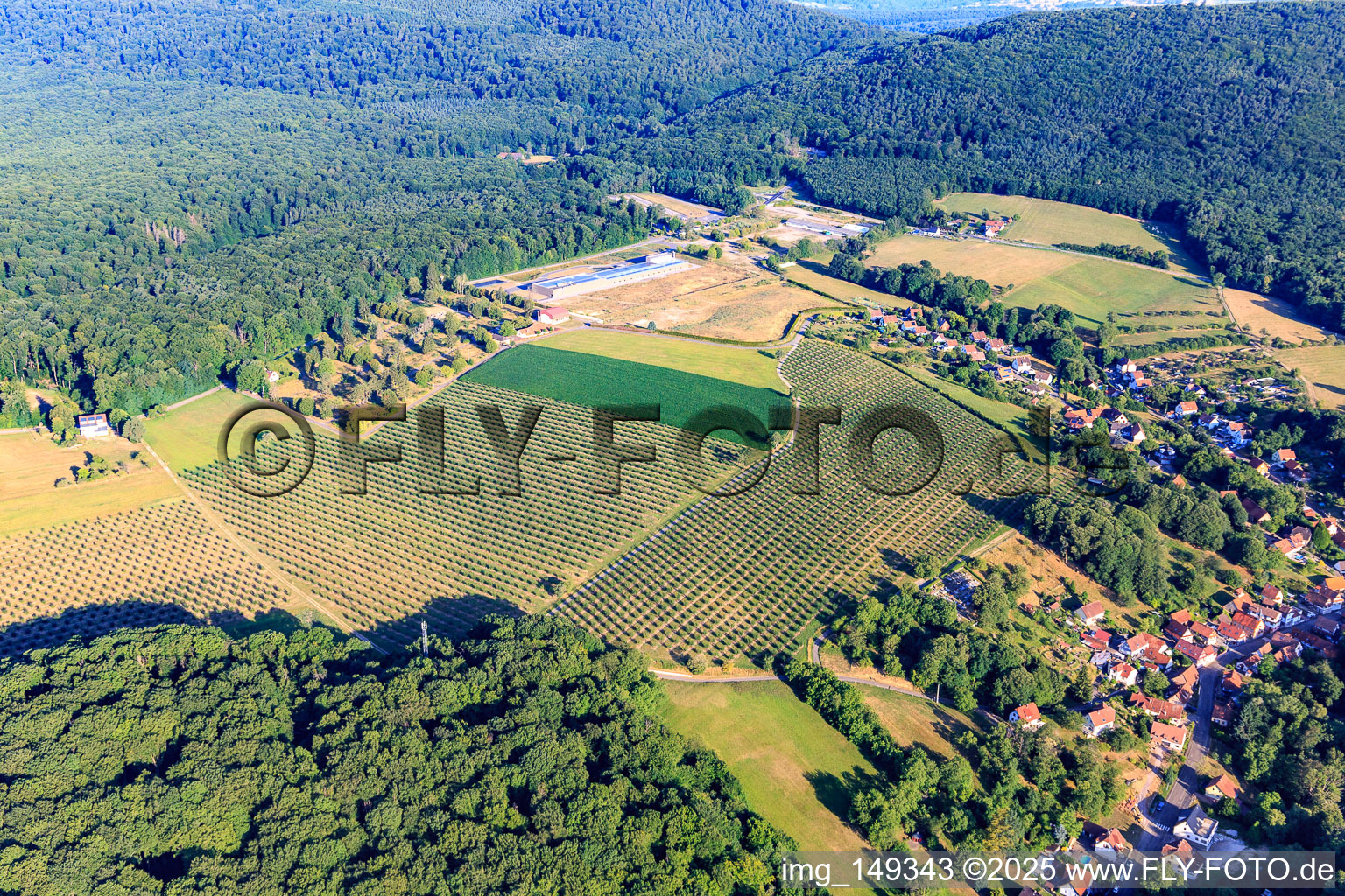 Vue aérienne de Plantation d'arbres sur le site de l'ancienne caserne à Drachenbronn-Birlenbach dans le département Bas Rhin, France