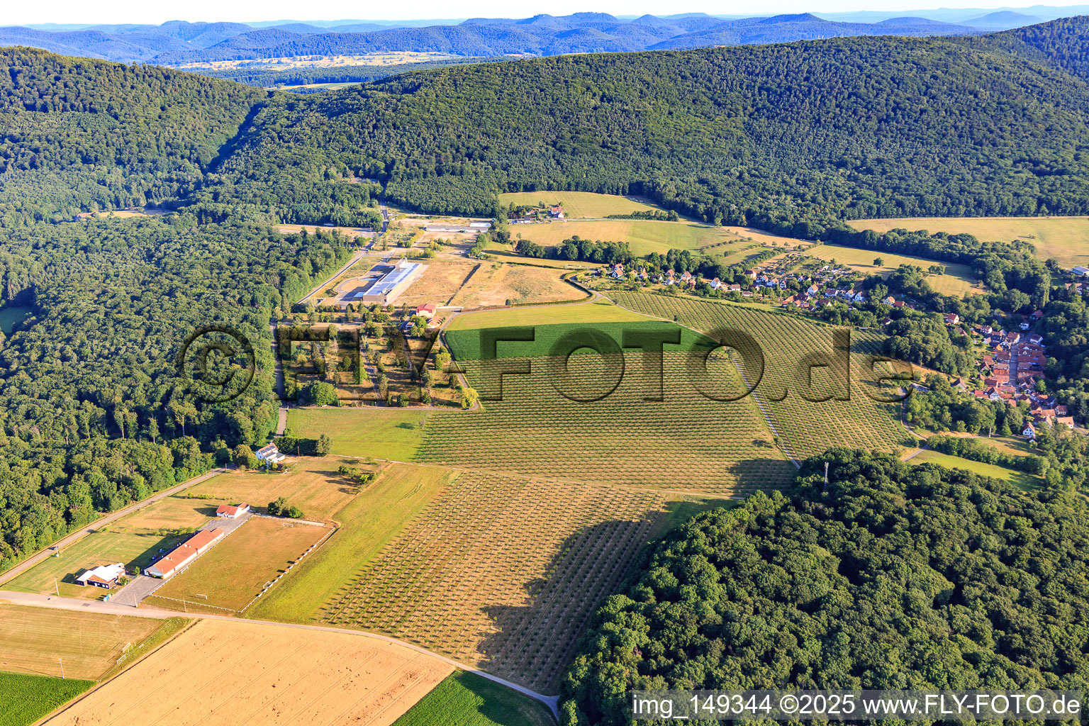 Vue aérienne de Plantation d'arbres sur le site de l'ancienne caserne à Drachenbronn-Birlenbach dans le département Bas Rhin, France