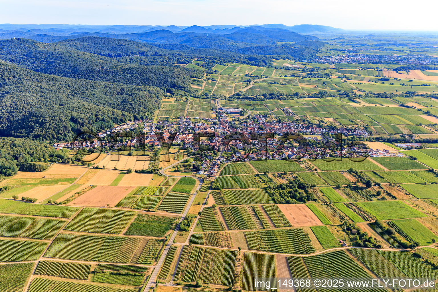 Vue aérienne de Village viticole du sud à le quartier Schweigen in Schweigen-Rechtenbach dans le département Rhénanie-Palatinat, Allemagne