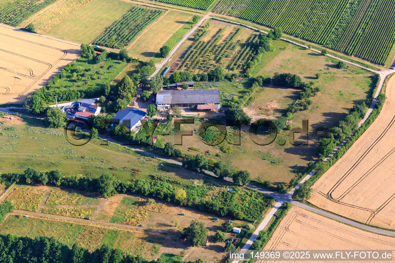 Vue aérienne de HEIDEBRUNNENHOF Élevage de chevaux arabes et islandais de race pure à Oberotterbach dans le département Rhénanie-Palatinat, Allemagne