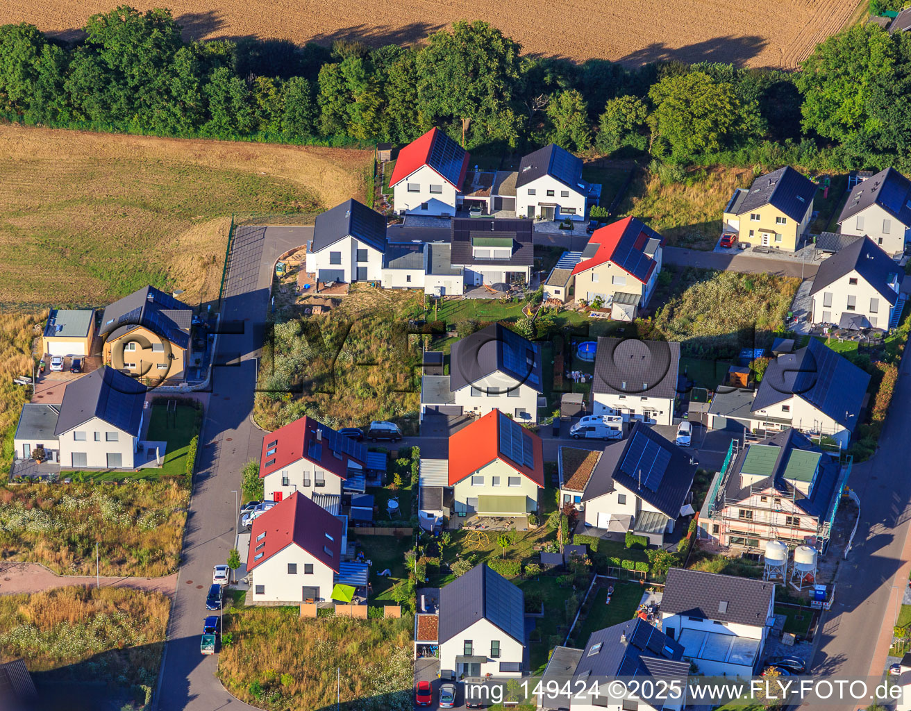 Chemin des jonquilles à Kandel dans le département Rhénanie-Palatinat, Allemagne hors des airs