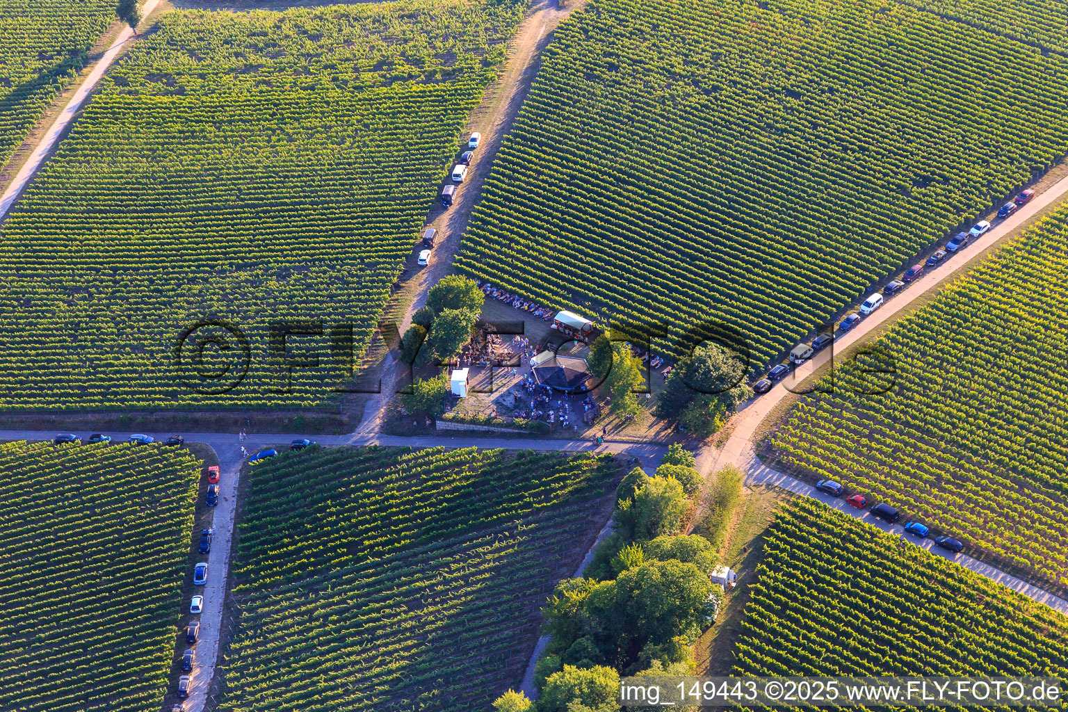 Vue aérienne de Fête du vin au Grill Hut Weinpanorama à le quartier Heuchelheim in Heuchelheim-Klingen dans le département Rhénanie-Palatinat, Allemagne
