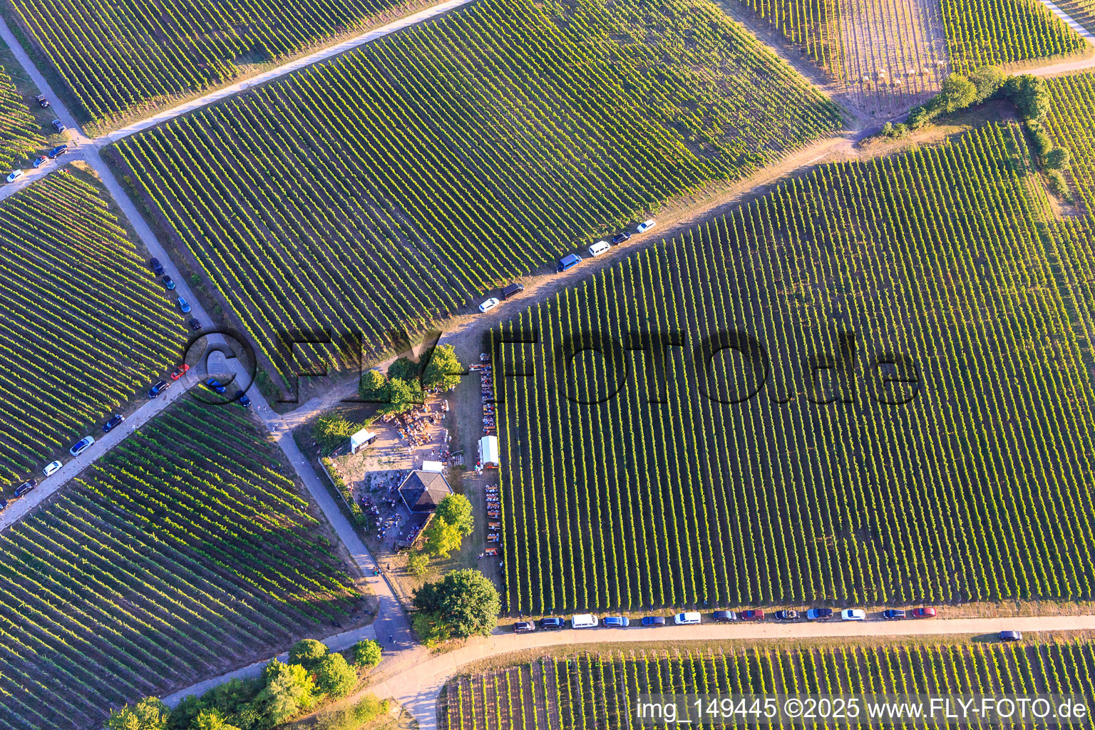 Vue aérienne de Fête du vin au Grill Hut Weinpanorama à le quartier Heuchelheim in Heuchelheim-Klingen dans le département Rhénanie-Palatinat, Allemagne