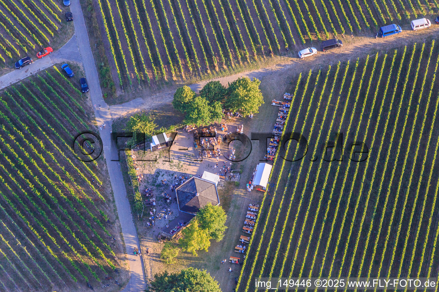 Photographie aérienne de Fête du vin au Grill Hut Weinpanorama à le quartier Heuchelheim in Heuchelheim-Klingen dans le département Rhénanie-Palatinat, Allemagne