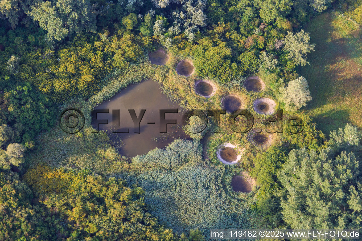 Vue aérienne de Réserve biologique gérée de Lauterbourg à Lauterbourg dans le département Bas Rhin, France