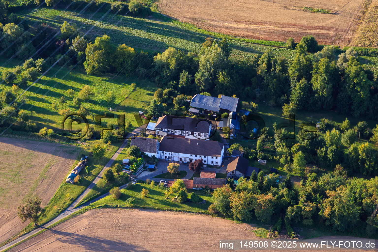 Vue aérienne de Ferme du Mühlgraben à Rülzheim dans le département Rhénanie-Palatinat, Allemagne