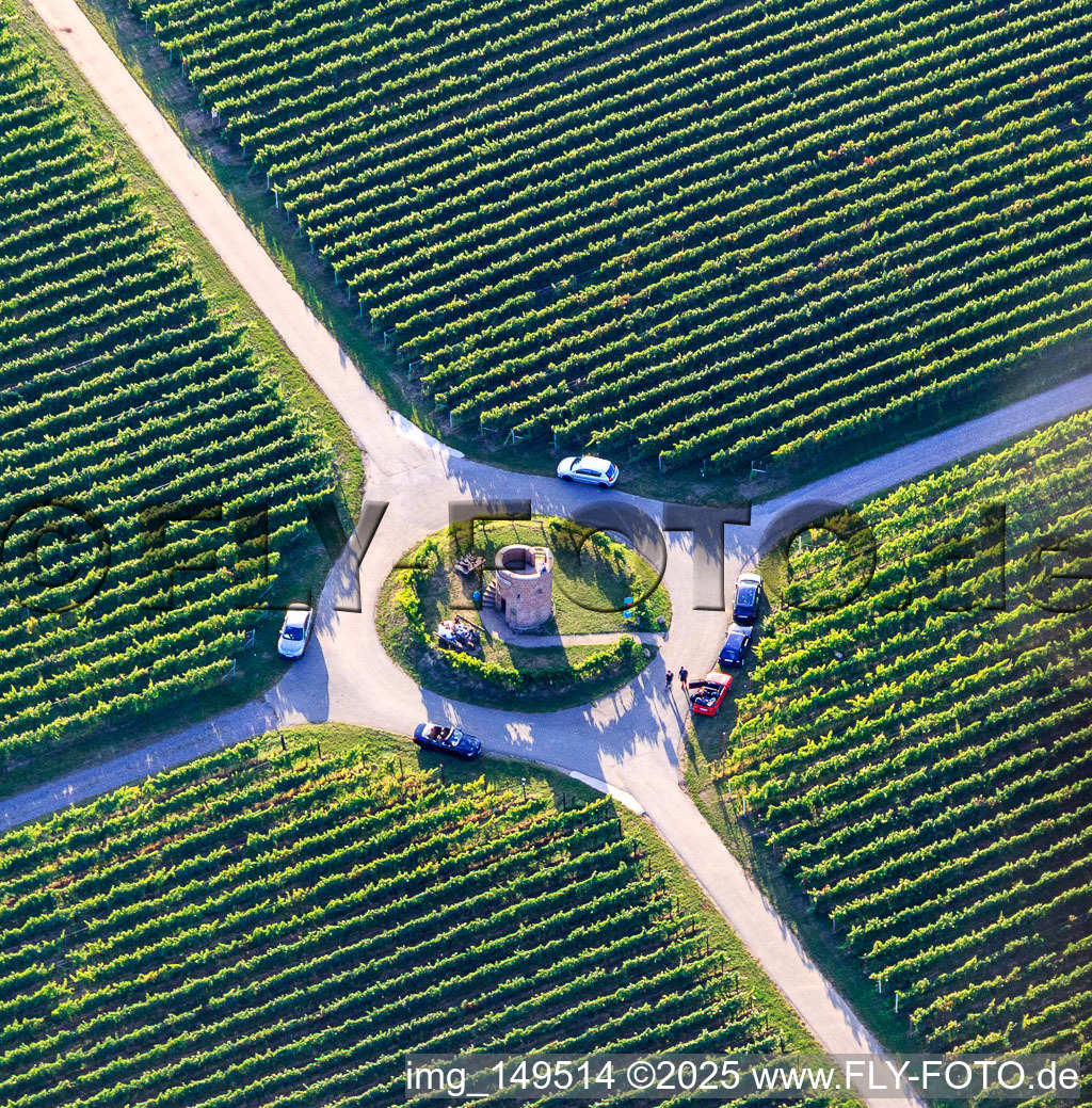 Vue aérienne de Houschder Winzerturm entre les vignes à le quartier Niederhochstadt in Hochstadt dans le département Rhénanie-Palatinat, Allemagne