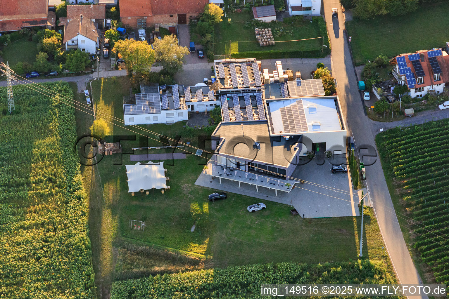 Vue aérienne de Boutique de vins du domaine viticole familial Sauer à le quartier Nußdorf in Landau in der Pfalz dans le département Rhénanie-Palatinat, Allemagne