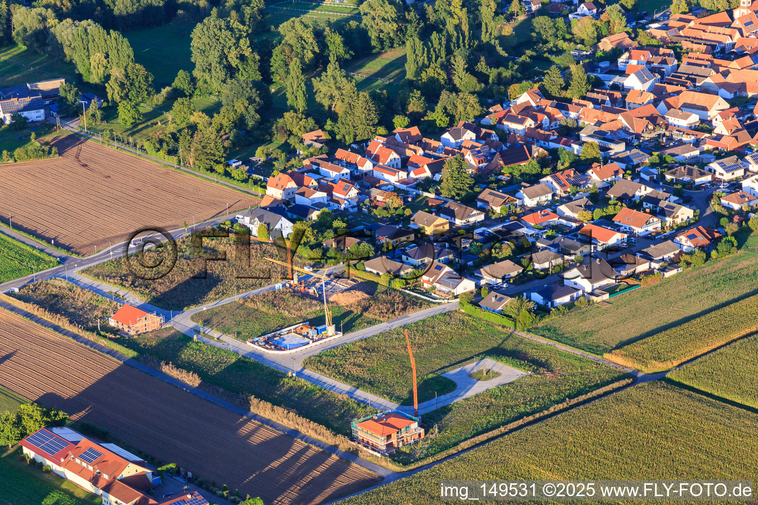 Vue aérienne de Développement de la nouvelle zone de développement Am Rosenberg et Im Niederfeld à le quartier Ingenheim in Billigheim-Ingenheim dans le département Rhénanie-Palatinat, Allemagne