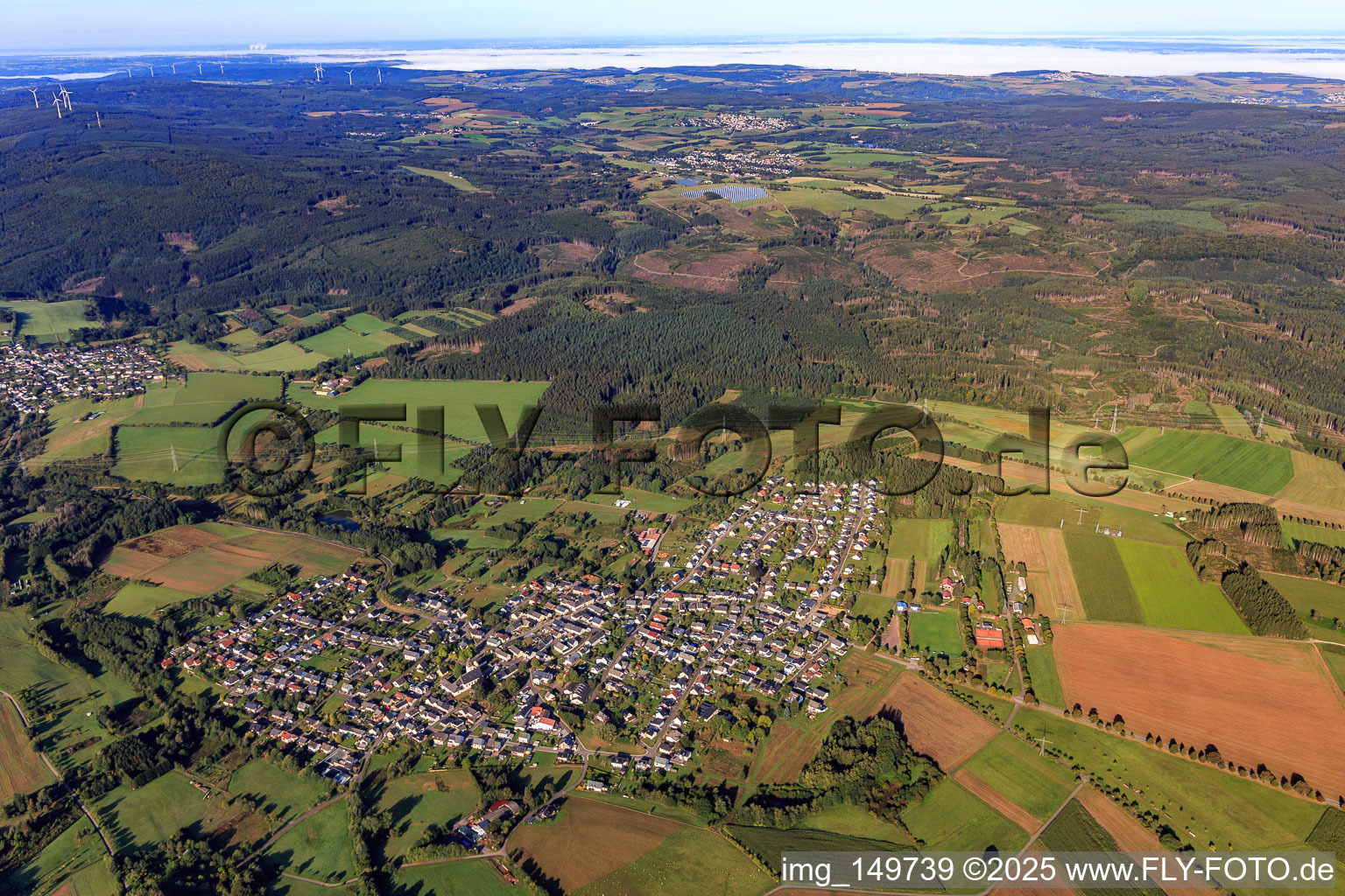 Vue aérienne de De l'est à Gusenburg dans le département Rhénanie-Palatinat, Allemagne