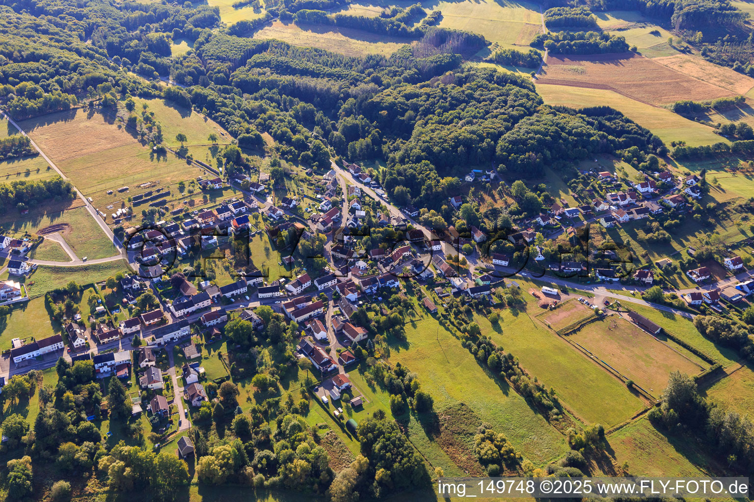 Vue aérienne de Du nord-ouest à le quartier Buweiler-Rathen in Wadern dans le département Sarre, Allemagne