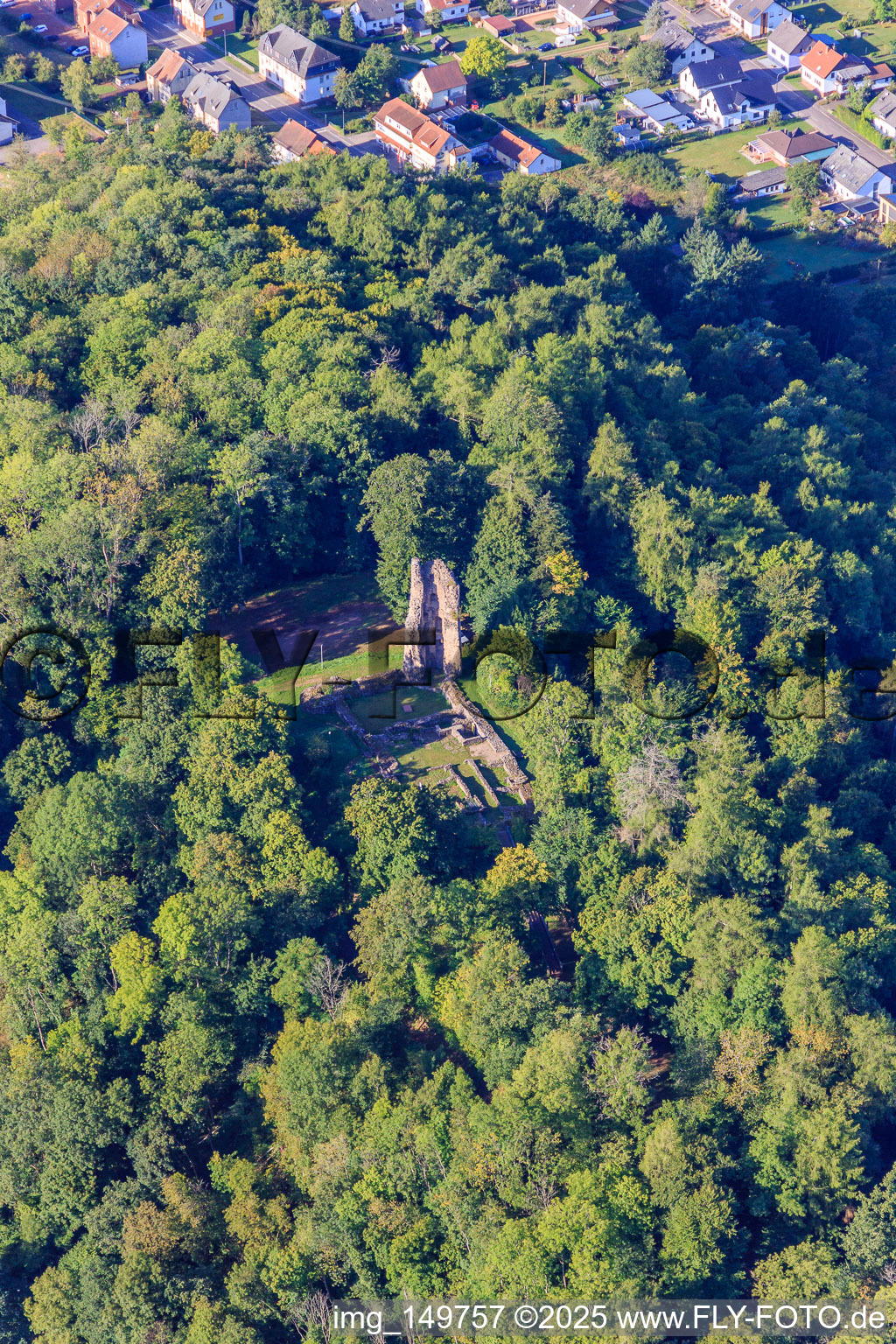 Vue aérienne de Ruines et fondations du château Dagstuhl dans la forêt à le quartier Dagstuhl in Wadern dans le département Sarre, Allemagne