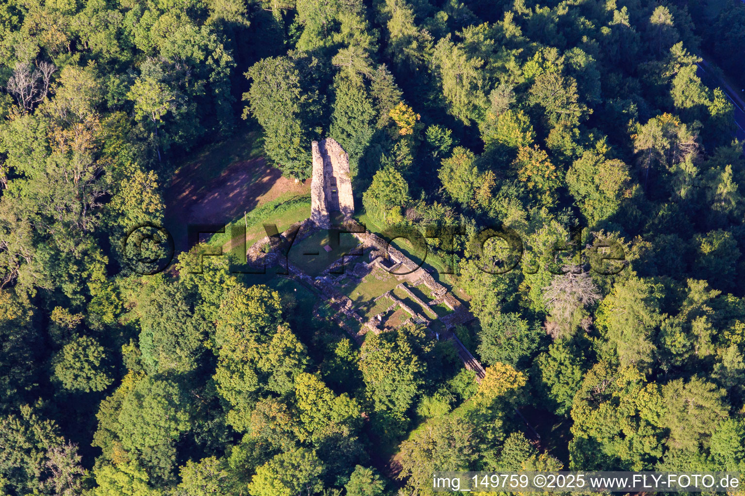 Photographie aérienne de Ruines et fondations du château Dagstuhl dans la forêt à le quartier Dagstuhl in Wadern dans le département Sarre, Allemagne