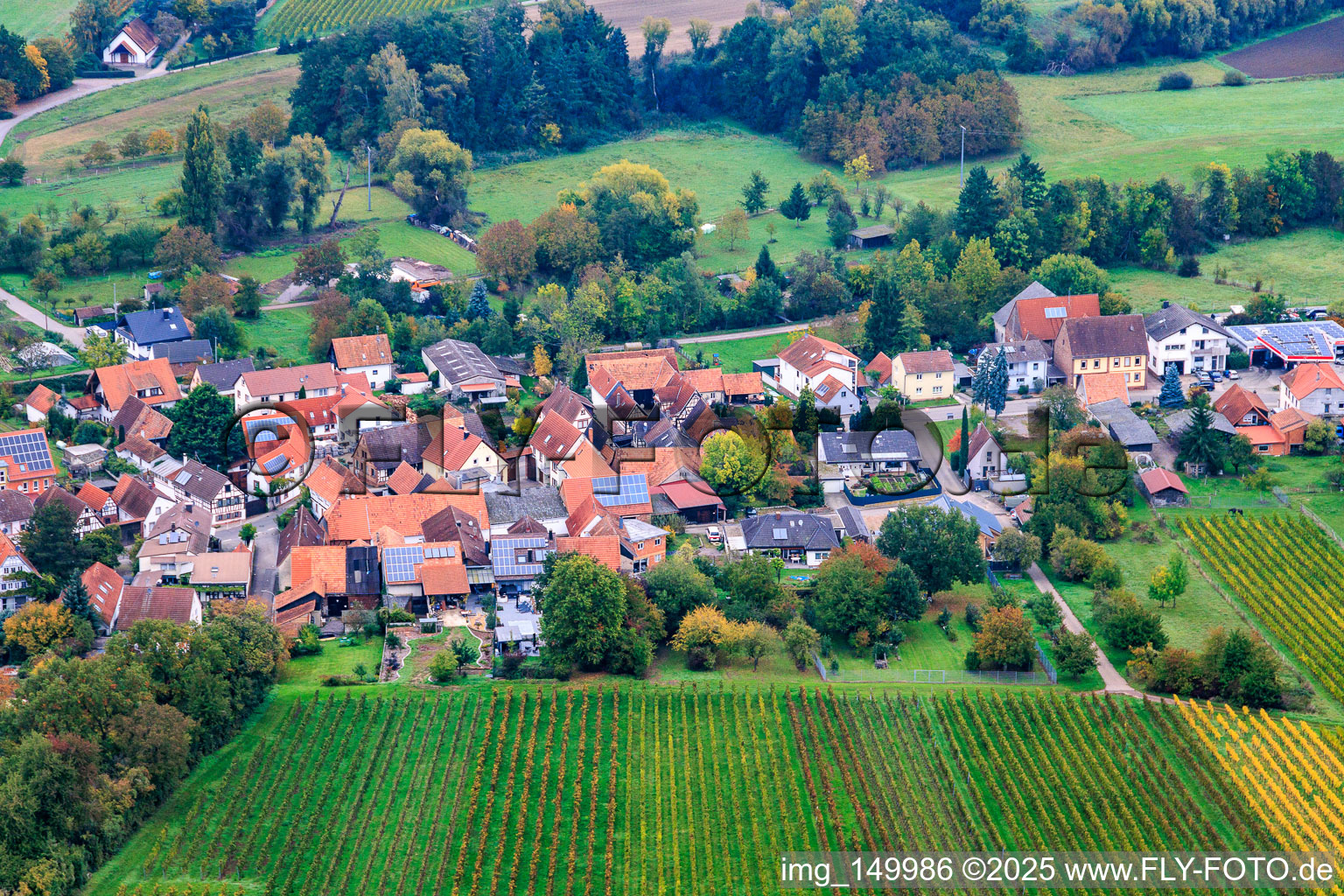 Vue aérienne de Bergstr à Oberhausen dans le département Rhénanie-Palatinat, Allemagne